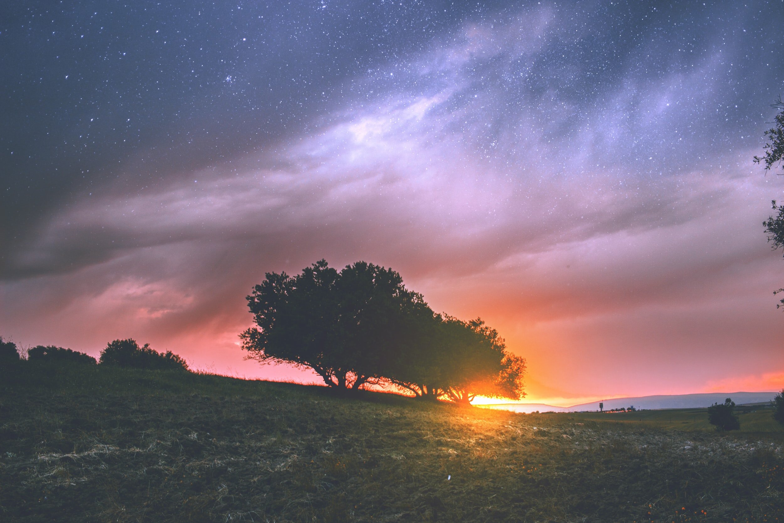 unsplash-image-jeNlxmCD96Y.jpg